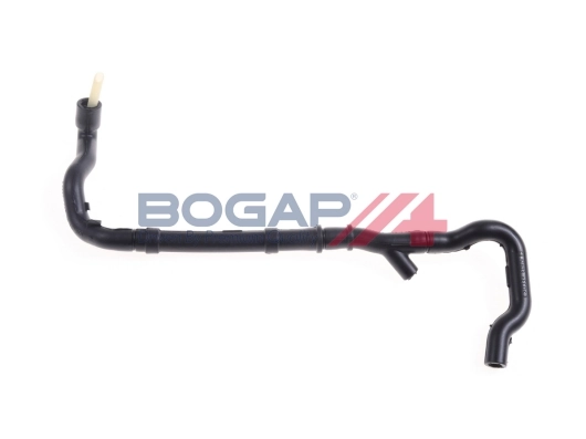 C1710105 Bogap