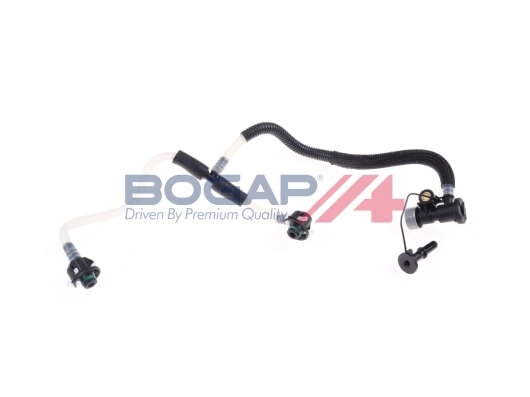 C1646100 Bogap