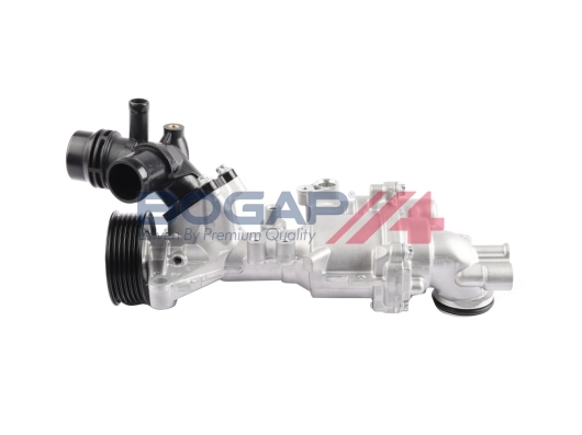 C4234141 Bogap