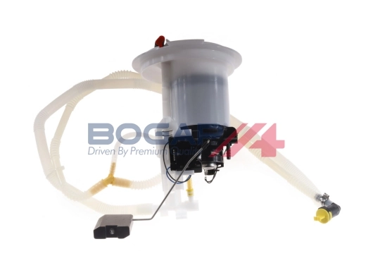 C1622102 Bogap