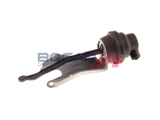 C2816103 Bogap