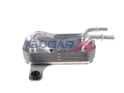 E4222101 Bogap