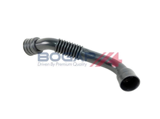A1210191 Bogap