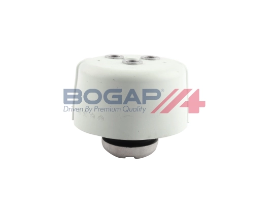 C1911109 Bogap