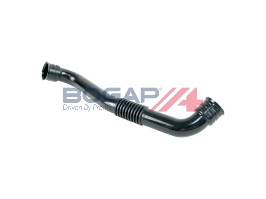 A1210180 Bogap