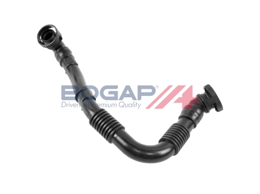 A1210203 Bogap