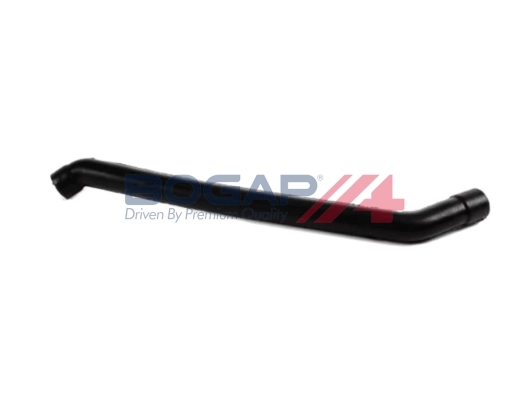 C1217100 Bogap