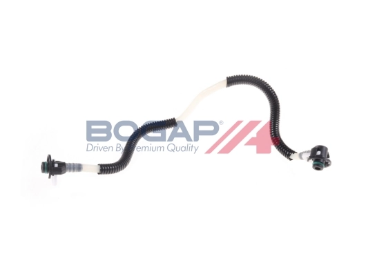 C1646108 Bogap