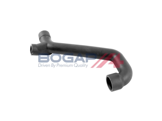 C1210107 Bogap