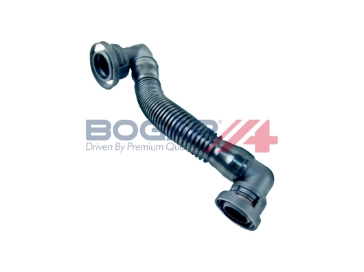 A1210208 Bogap
