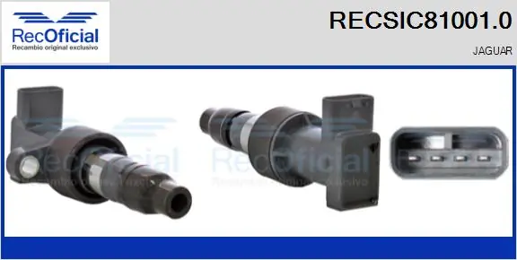 RECSIC810010 Recoficial