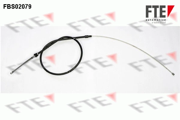 9250079 FTE