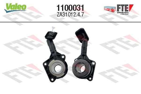 1100031 FTE