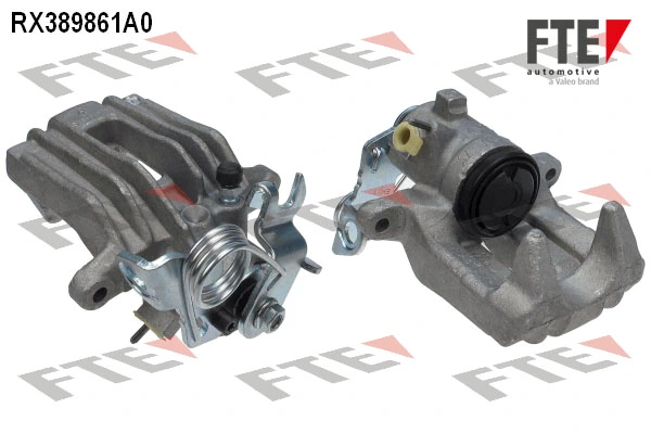 RX389861A0 FTE