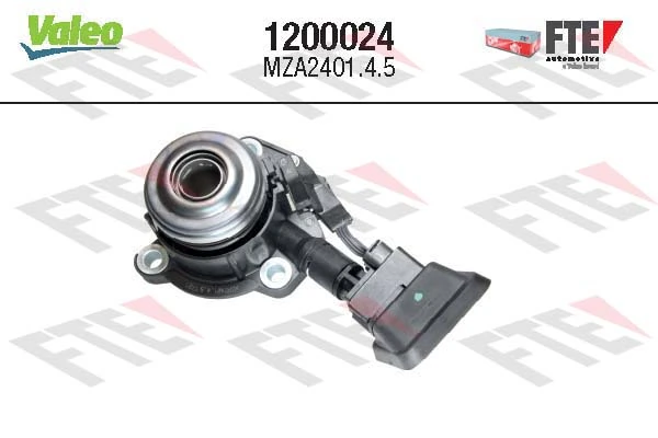 1200024 FTE