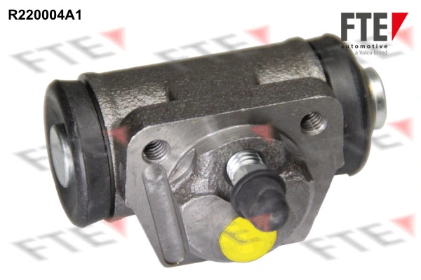R220004A1 FTE