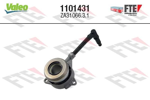 1101431 FTE