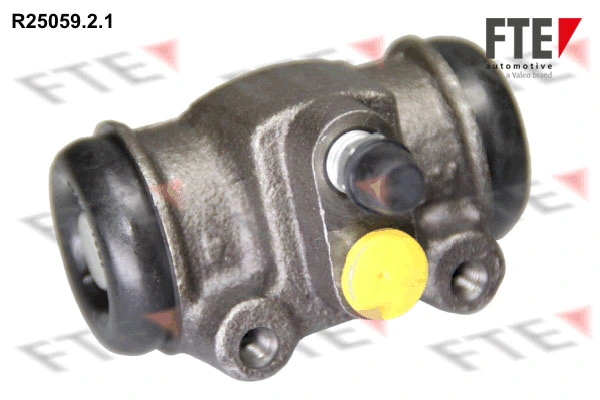 R2505921 FTE