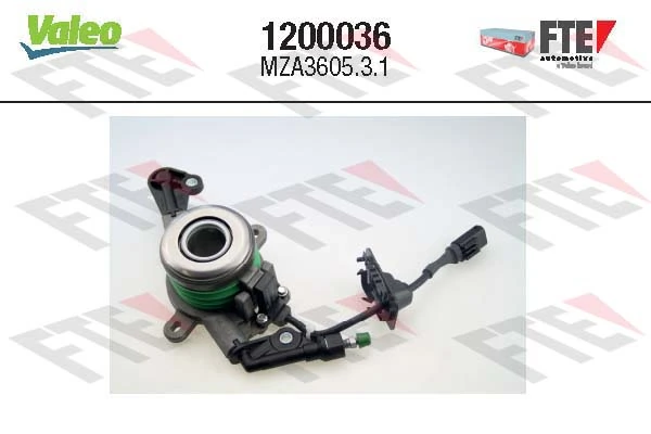 1200036 FTE