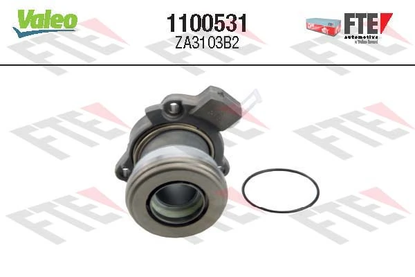 1100531 FTE