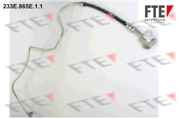 233E865E11 FTE