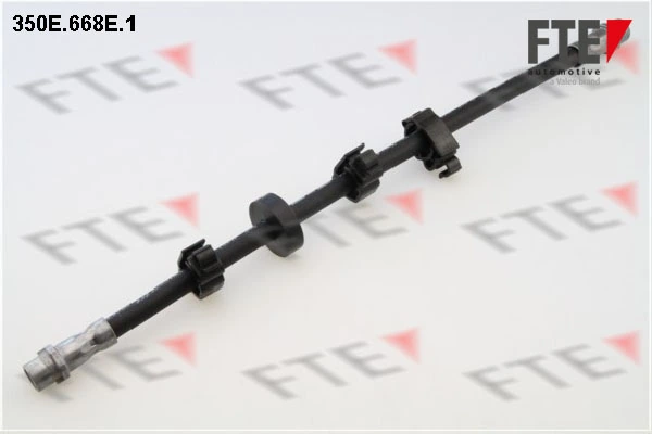 9240520 FTE