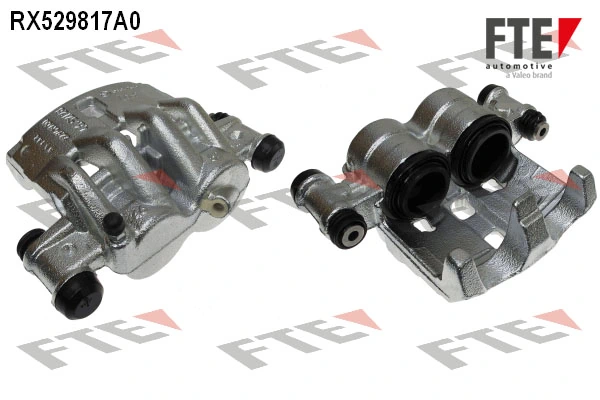 RX529817A0 FTE