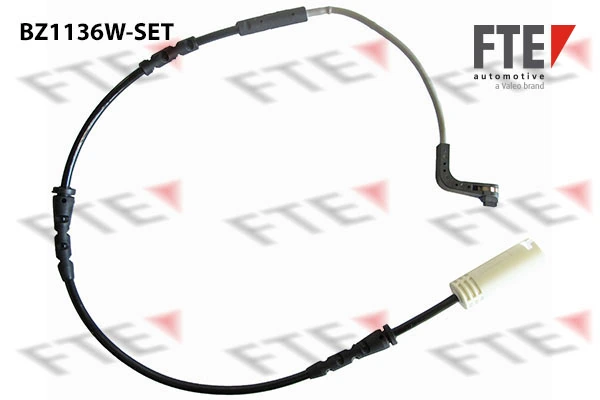 9410099 FTE