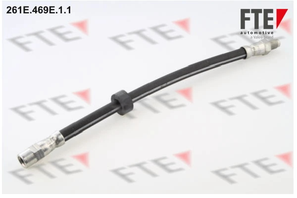 261E469E11 FTE