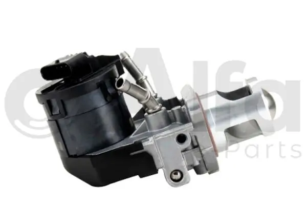 Válvula de regulación de gases BMW X3  desde 122,09 €