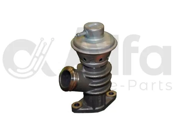 Válvula EGR para Citroen Jumpy BU