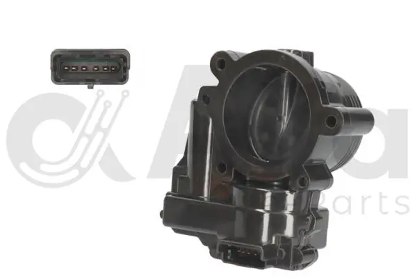 Comprar Caja de mariposa COUNTRYMAN  R60
