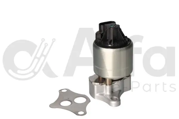 EGR Fiat Punto  (176C)