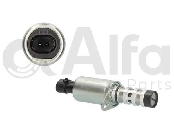 554003A ERA Benelux Válvula control, ajuste de levas