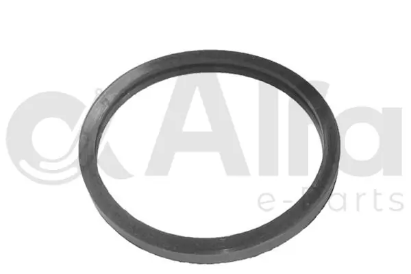 AF10613 Alfa E-Parts