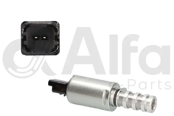 554041A ERA Benelux Válvula control, ajuste de levas
