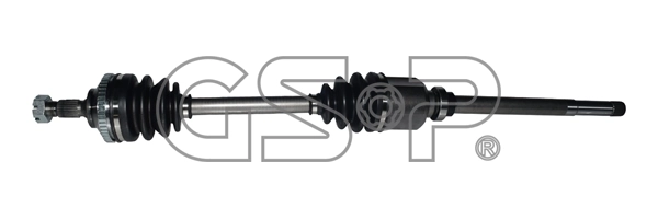245020 GSP