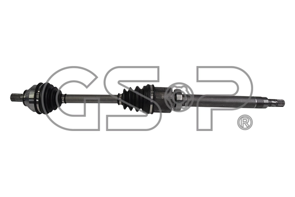 262031 GSP