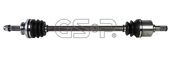 224556 GSP
