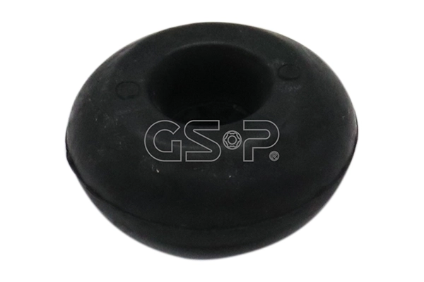 510089 GSP