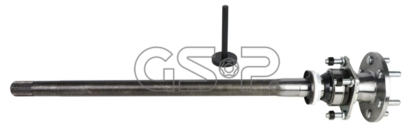 261349 GSP