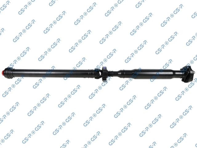 PS900166 GSP