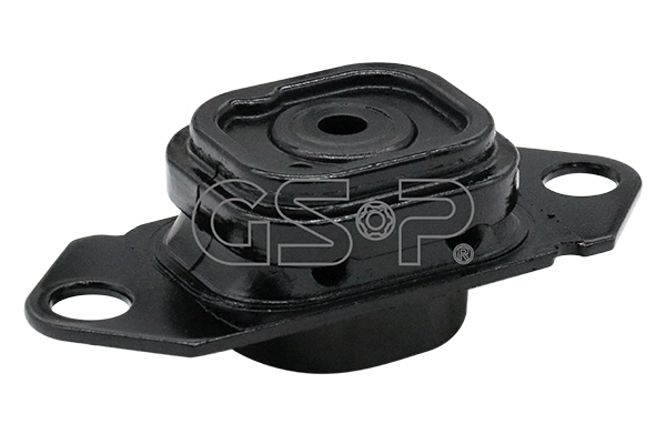 510790 GSP