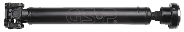PS900310 GSP