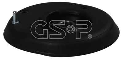 519054 GSP