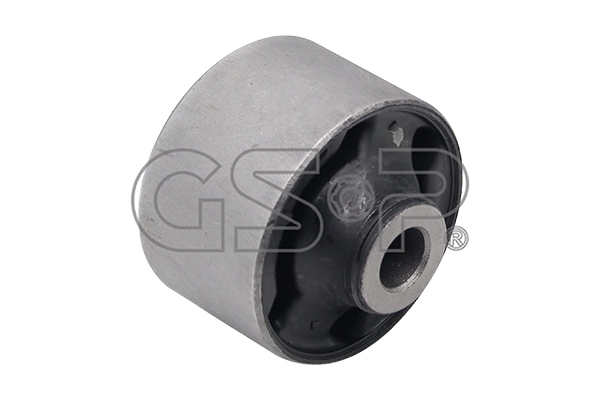 516069 GSP