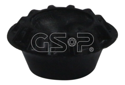 510041 GSP
