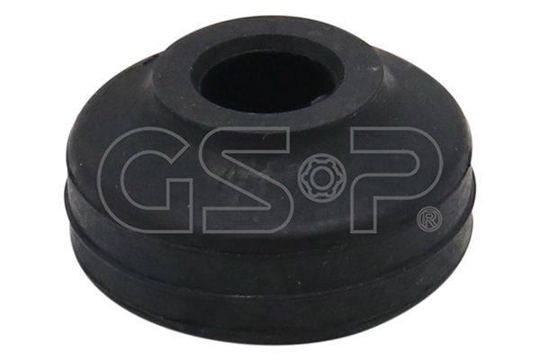 513254 GSP