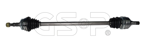 244039 GSP