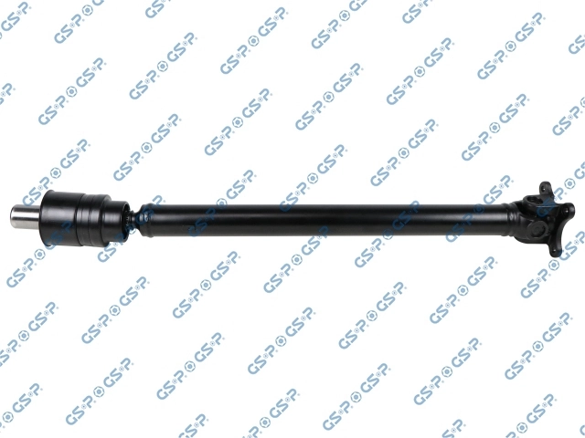 PS900421 GSP